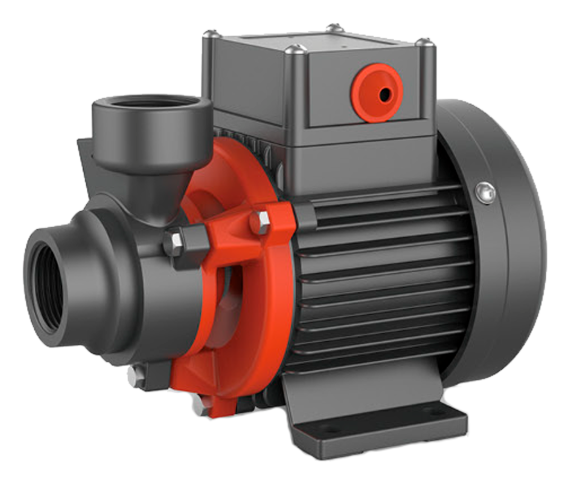 XKm501