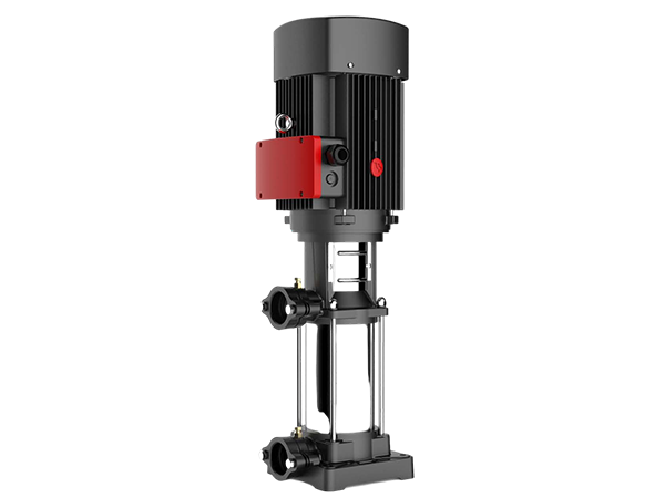 FV